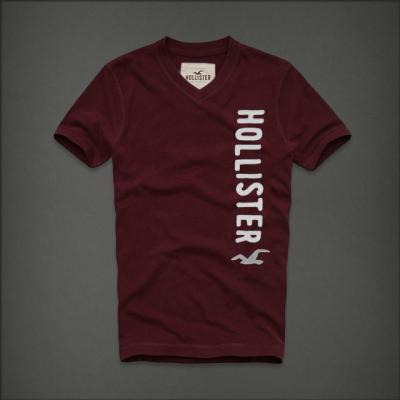 Hollister Men Shirts-419